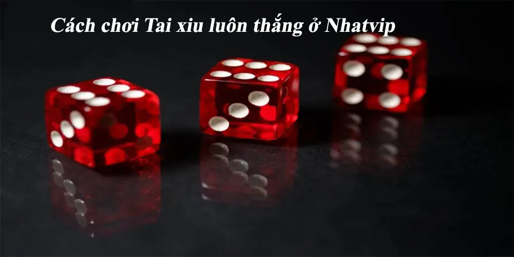 tai xiu 2 Cách chơi Tai xiu luôn thắng tại Nhatvip dành cho tân thủ