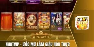 Tổng quan về ứng dụng NhatVip